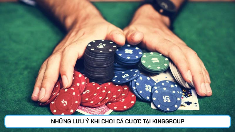 Những lưu ý khi chơi cá cược tại Kinggroup